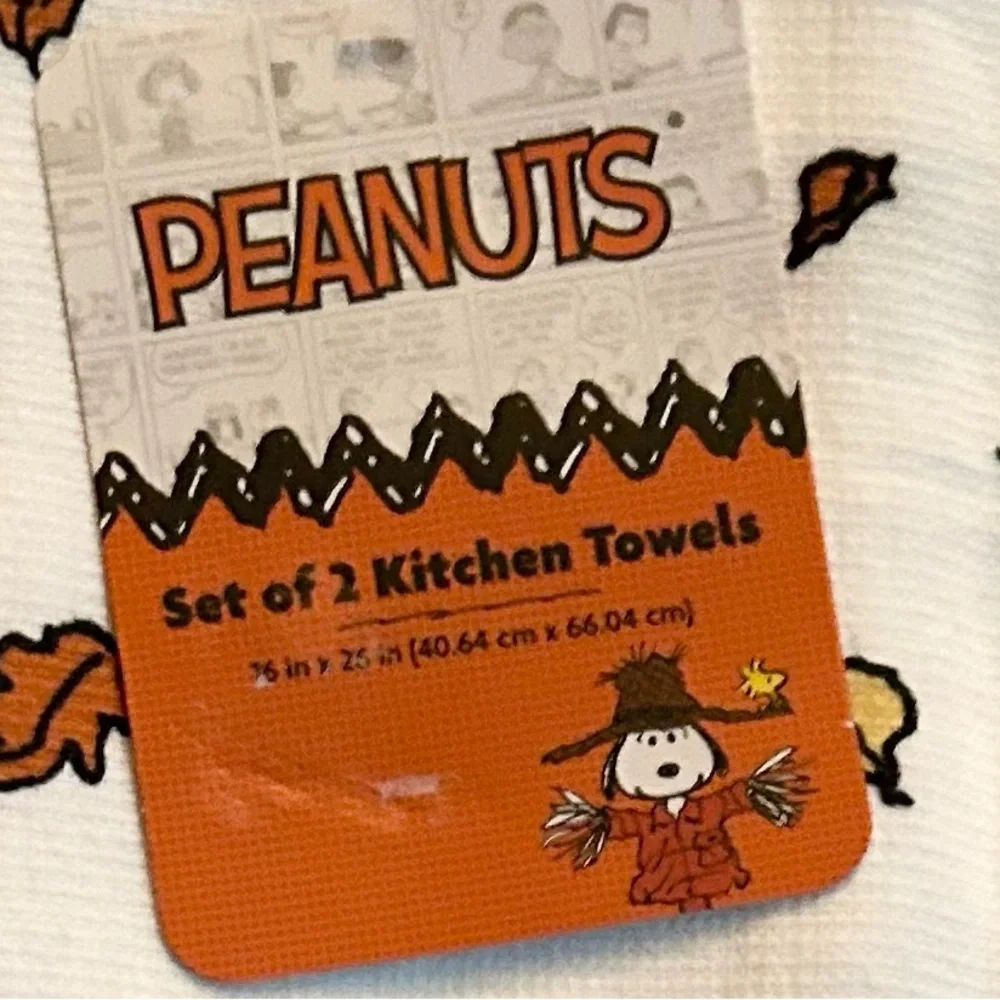 Peanuts Snoopy and Friends Fall 2 Pack Dishtowel and oven-mitt Set